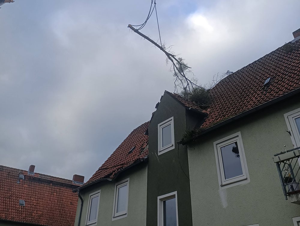 Kranfaellung baum dach