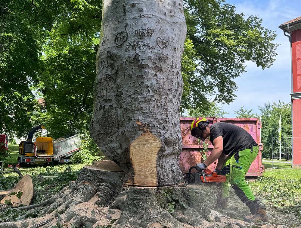 Maschineneinsatz baum