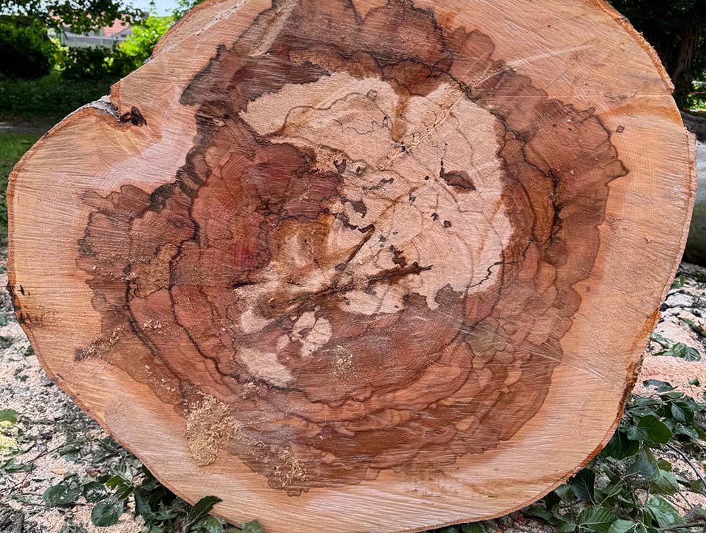 Maschineneinsatz holz