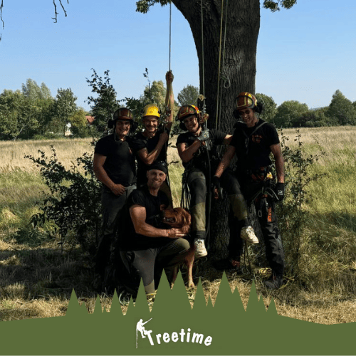 Fünf lächelnde Personen in Kletterausrüstung vor einem Baum; sommerliche Wiesenlandschaft.