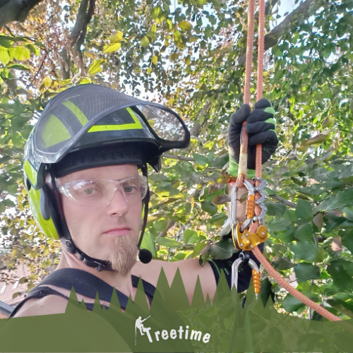 Ein Mann in Schutzbrille und Helm mit Kletterseil im Baum, ernster Ausdruck.