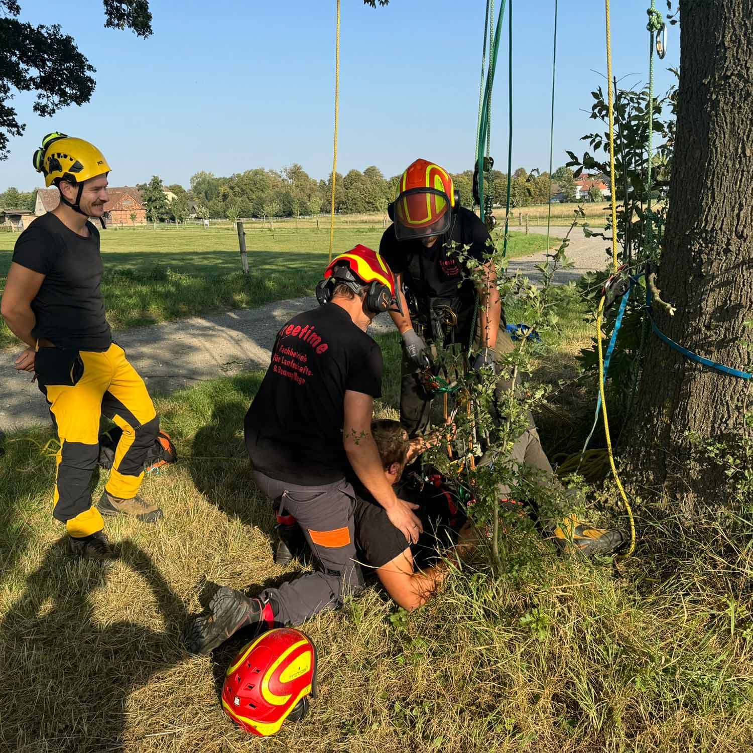 Zwei Kletterer helfen Person im Baum; tragen Helme und Schutzkleidung, sonniger Tag im Grünen.